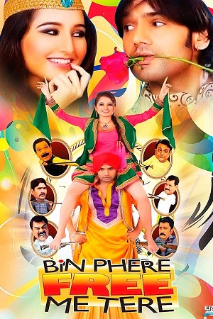 Download Bin Phere Free Me Tere (2013) WebRip Hindi 480p 720p