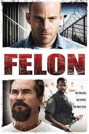 Download Felon (2008) BluRay [Hindi + English] ESub 480p 720p