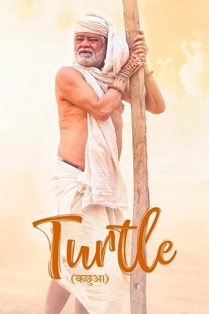 Download Turtle (2018) WebRip Hindi ESub 480p 720p