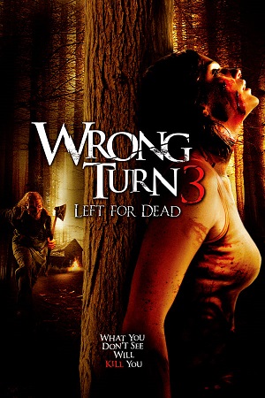 Download Wrong Turn Part 3: Left for Dead (2009) BluRay English ESub 480p 720p