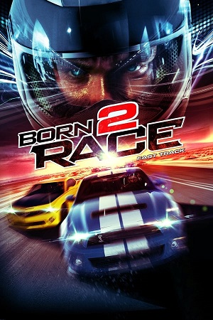 Download Born to Race Fast Track (2014) BluRay [Hindi + English] ESub 480p 720p