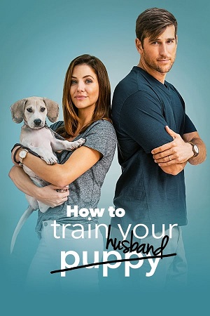 Download How to Train Your Husband (2018) WebDl [Hindi + English] 480p 720p